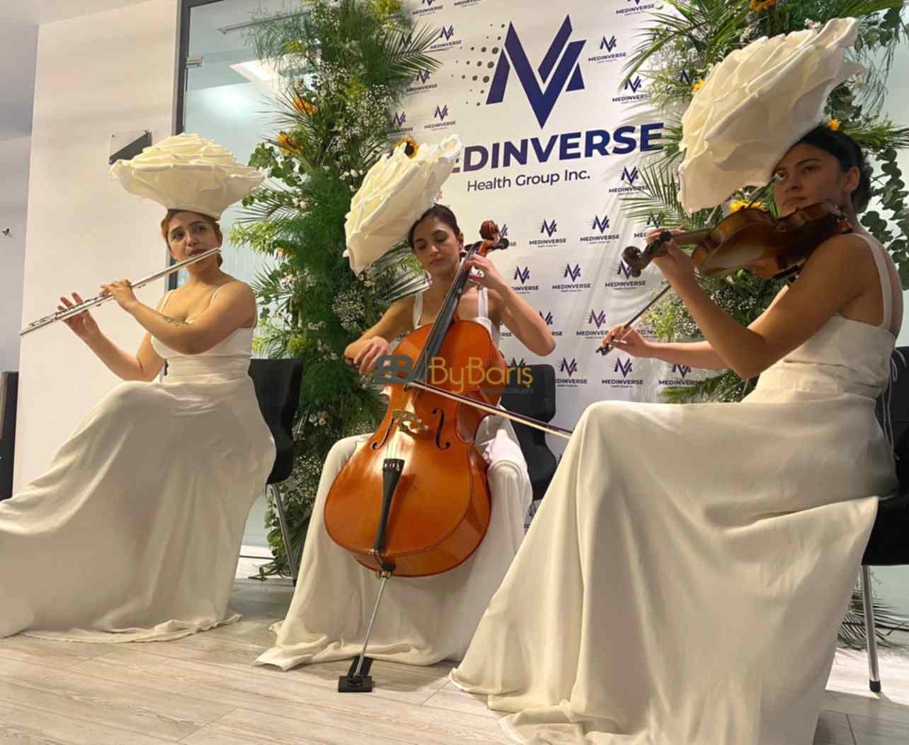Gösteri Müzik Grupları - Trio Grubu - Bando Ekibi
